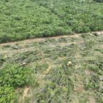 Com o uso de drones, os agentes ambientais localizaram máquinas derrubando árvores com correntão  - Foto por: Sema-MT